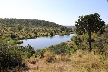 Orpen Dam - Krüger Park - Südafrika / Orpen Dam - Kruger Park - South Africa /