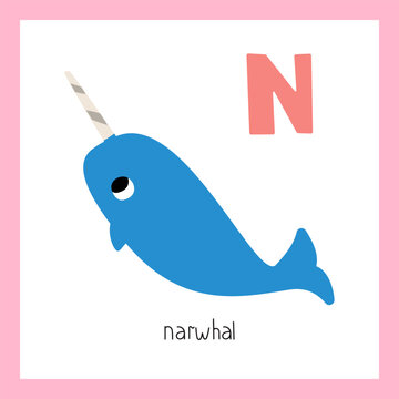 Narwhale. Letter N. English alphabet for kids. Vector illustration.