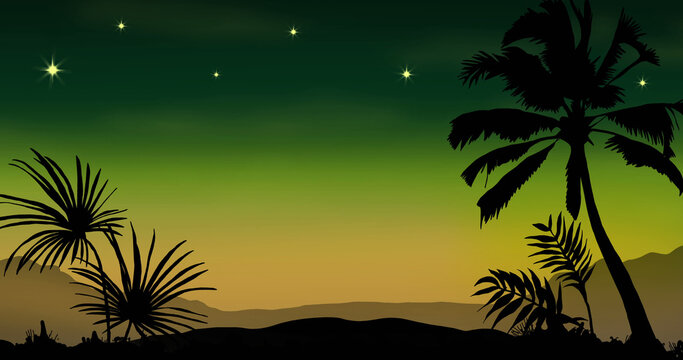 Palm trees silhouette against a sunset and starry sky, capturing a tranquil tropical vibe.