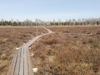 Nature. Path of fields and meadows.