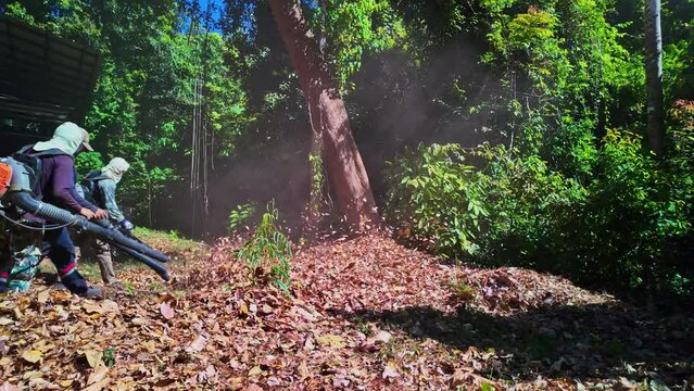 Slow motion Gardeners simultaneously use a backpack blower. .Blow the leaves and grass clippings together into a large pile. .Keep your garden clean and prevent forest fires. clean park background.
