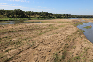 Afrikanischer Busch - Krügerpark - Letaba River / African Bush - Kruger Park - Letaba River /