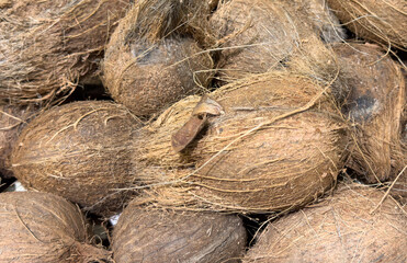 Coconuts on the counter in the market