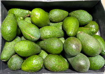 Avocado on the counter in the market