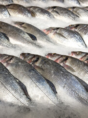 Fresh fish in ice on a counter in a market