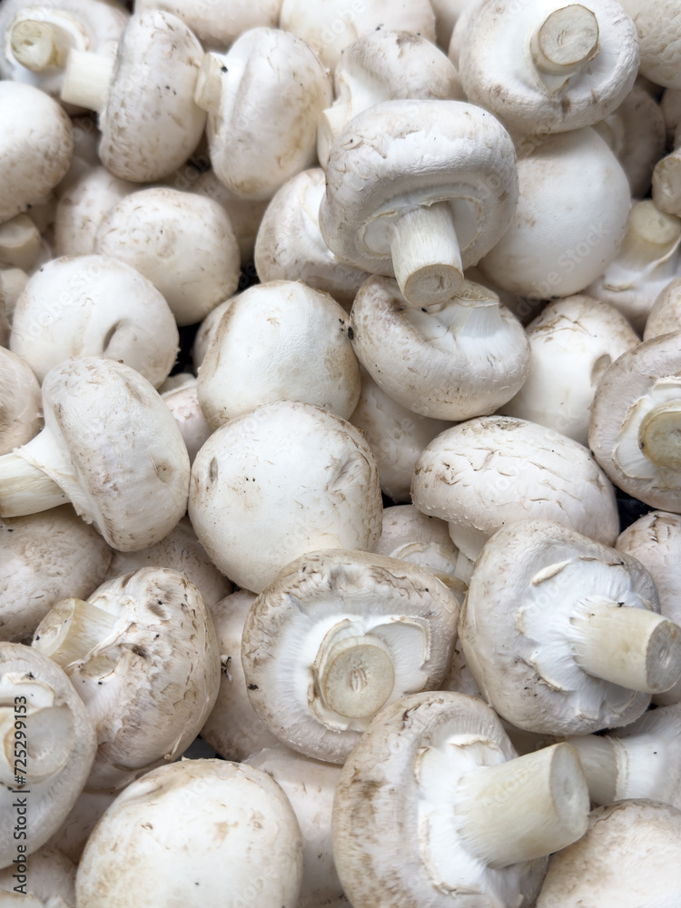 Wall mural champignon mushrooms on the counter in the market