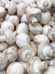 Champignon mushrooms on the counter in the market