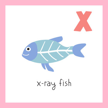 X-ray fish. Letter X. English alphabet for kids. Vector illustration.