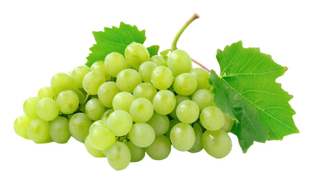 Fresh green grapes on transparent background