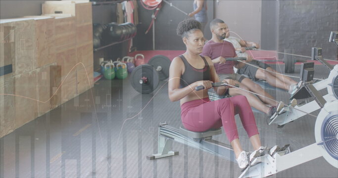 Image of data processing on graph over diverse woman and men training on rowing machines at gym