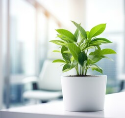 A plant in a white pot on a table in front of a window. Generative AI.