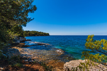 Fototapeta na wymiar Croatia - beautiful Mediterranean coast landscape in Istria. Porec Adriatic Sea.