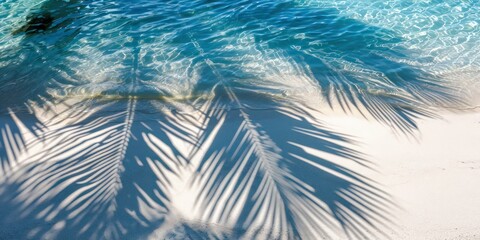 Close-up, top-down perspective, you can witness the captivating interplay of tropical leaves casting intricate shadows on the glistening surface of the water. 