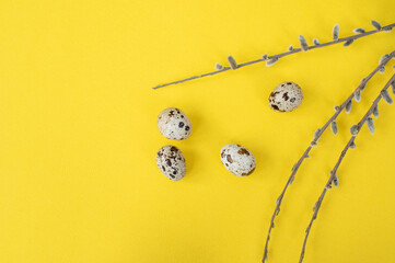 Quail Eggs with Pussy Willow on Yellow