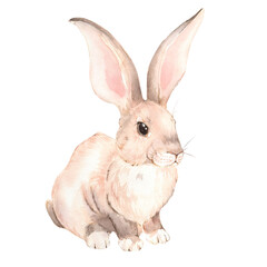 Bunny сute easter composition. Hand-drawn watercolor illustration, isolated on white background.