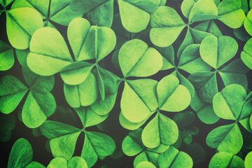 Background with green clover leaves for Saint Patrick's day. Background with a shamrock. Vintage...
