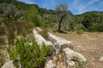 Fototapeta na wymiar Font de S Albello, cami Vell de Estellencs, Puigpunyent, Mallorca, Balearic Islands, Spain