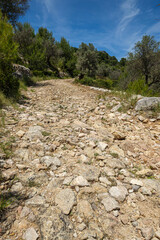 cami Vell de Estellencs, Puigpunyent, Mallorca, Balearic Islands, Spain