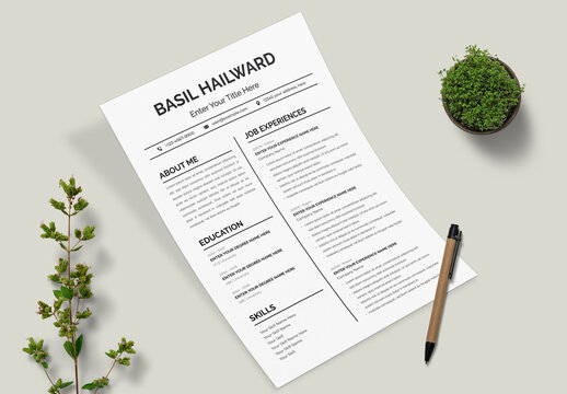 Professional Resume Template