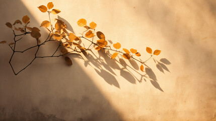 Silhouette shadow of leaves