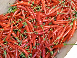 red hot chili peppers