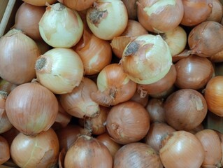 onions at the market