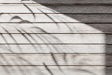 Sunshine, tree shadows, various texture backgrounds. 3d rendering.