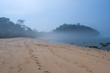 the landscape of the bright coastline is shrouded in a little mist
