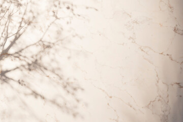 Sunshine, tree shadows, various texture backgrounds. 3d rendering.