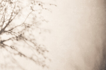 Sunshine, tree shadows, various texture backgrounds. 3d rendering.