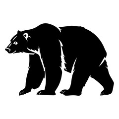 Fototapeta premium polarbear walking movement silhouette