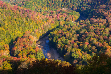 Worlds End State Park, State park in Pennsylvania