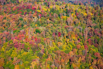 Worlds End State Park, State park in Pennsylvania
