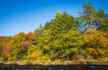 Obraz premium Worlds End State Park, State park in Pennsylvania