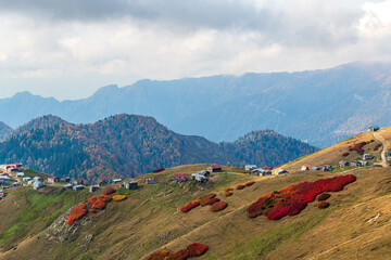 Autumn colors and plateau houses