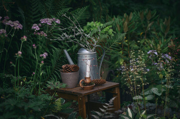 Wild dark shady garden decorations. Wooden table with vintage watering can and fir cones.