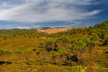 Verdant Pine Forest with Open-Pit Mine in the Background