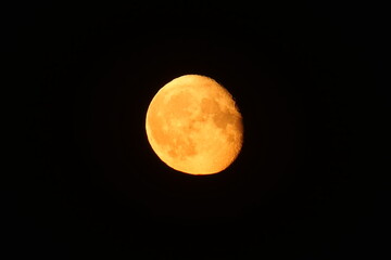 Mond