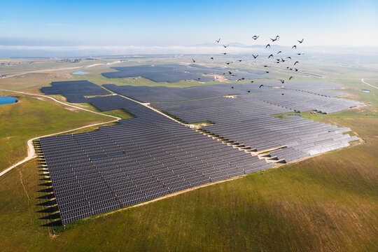 aerial photo of solar photovoltaic power plant under blue sky on bright sunny day with flock of birds