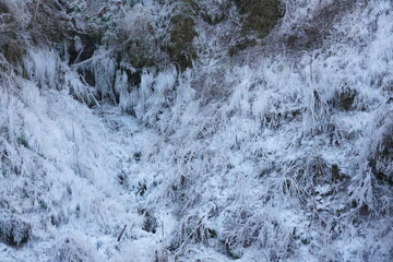 あしがくぼの氷柱