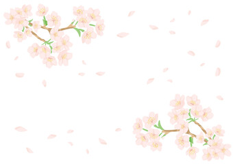 手書き風の桜の舞うフレーム素材・フラットでシンプル・コピースペース