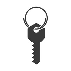 Key hangs on a metal ring glyph icon isolated on white background.Vector illustration.