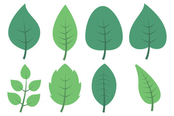Set of eight different leaves