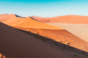 Fototapeta na wymiar endless sand dunes