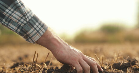 Side view: male hands touching soil on field. A close-up of a farmer holding the earth with his hands. The farmer checks the quality of the soil before planting. - obrazy, fototapety, plakaty