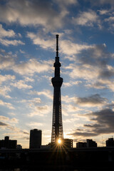 Obraz premium 朝陽に映える東京スカイツリー