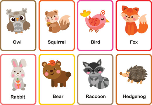 Flash cards  animals memory game cards