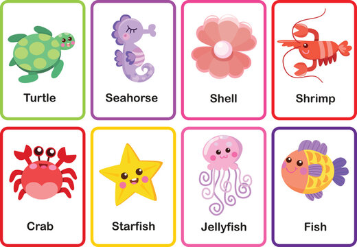 Flash cards sea animals memory game cards