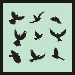 Dove bird silhouette set