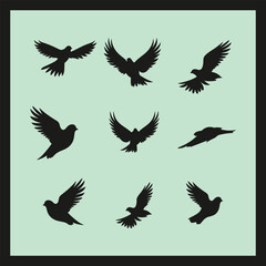 Dove bird silhouette set